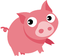 pig